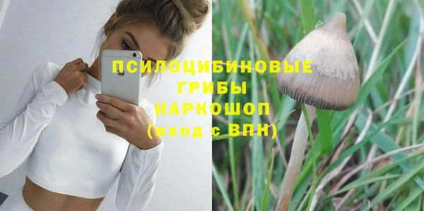 гидра Семикаракорск