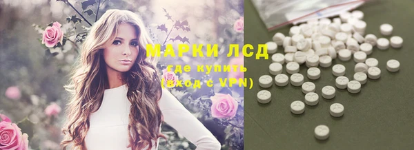 ГАЛЛЮЦИНОГЕННЫЕ ГРИБЫ Снежногорск