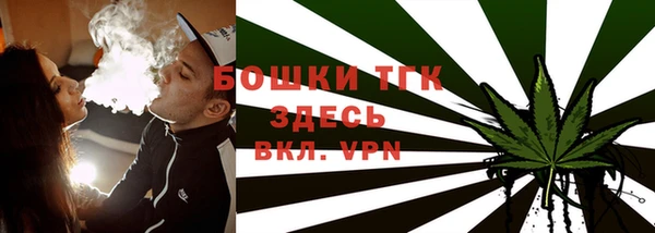 ГАЛЛЮЦИНОГЕННЫЕ ГРИБЫ Снежногорск