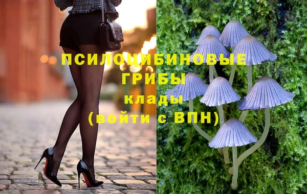 бошки Слюдянка