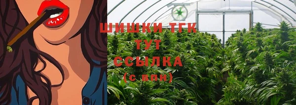 ECSTASY Снежинск