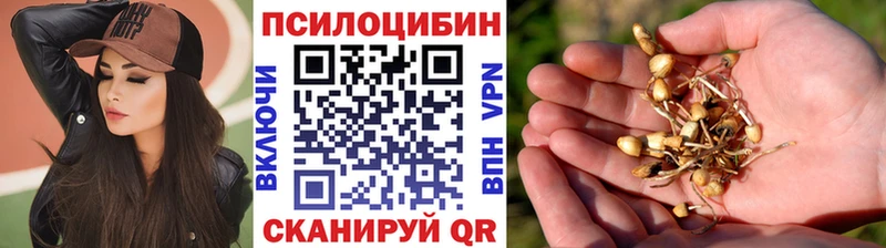 Псилоцибиновые грибы ЛСД  Купить  Десногорск 